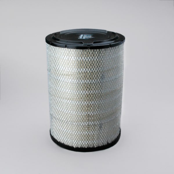 Air Filter, Primary Radialseal, P533930